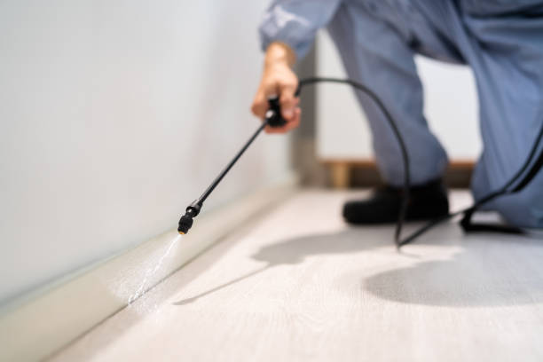 Certified termite inspector examining foundation in Tanglewilde